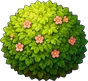 Куст
