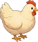 Курица